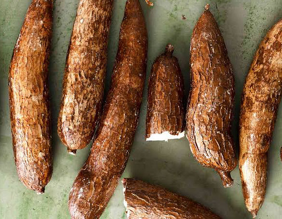 Cassava Root